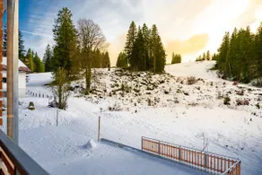 Ferienwohnung Feldberg Schwarzwald - Image 2