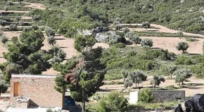 Campo Golden Heritage OFF GRID - Image 3