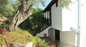 Violetta Studios & Apartments - Image 5