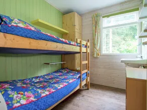Holiday Home in Arriën near Beerze Nature - Image 2