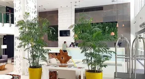 Apartamento em Resort Ilha da Madeira na Riviera - Image 3
