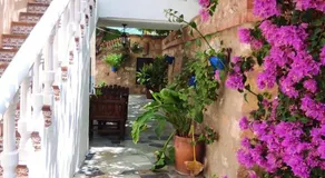 Maison de vacances avec barbecue, jardin et piscine | Vue jardin | Avec animaux bienvenus - Image 5