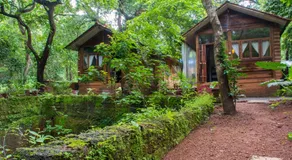 Namaste Jungle - A Boutique Homestay - Image 5