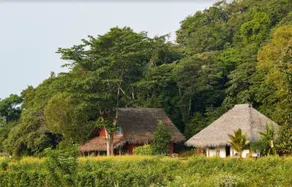 Amuna Ayurveda and Wellness Retreat - Image 3