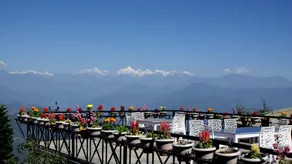 Parwati Resort - A Luxury Himalaya View Resort In Patal Bhuvaneshwar - Image 4