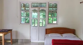 Orange Orchard - Image 2