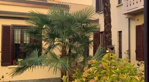 Isola Accogliente Apartment - Image 5