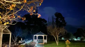 Tell Tales Bed & Breakfast - Image 5