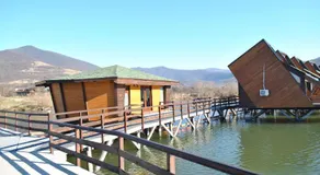 Complex Egreta - Image 5