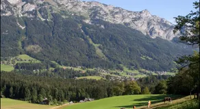 Kalßnhof - Image 4