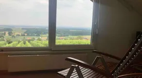 Apartma Sonček - House in the vineyard - Image 5