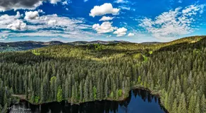 Haus Findling, 10 Personen, Schluchsee, Hochschwarzwaldkarte - Image 5
