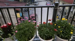 Nhà nghỉ Homestay Minh Hạnh - Image 4