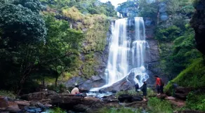 Kemmannugundi Hill Resort-Jungle Lodges - Image 1