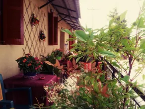 Maison des amis - Image 3