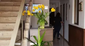 Hostal Ostello Amadeus - Image 4