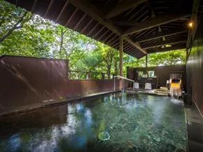 Irodori Koyo Hotel - Image 5