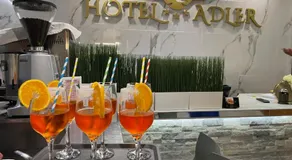Hotel Adler - Image 4