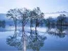 Shirakawaonsen Shirakawaso - Image 4