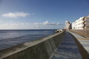 Mango Resort Okinawa Chatan - Image 4