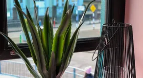 Sunday Street Boutique - Image 3