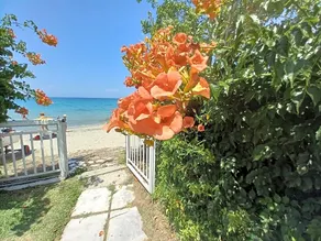 Greek Pride Evlogia Seaside - Image 5