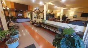 Hotel Viola - Image 3
