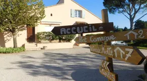 Les Bougainvillées de Camargue - Image 5