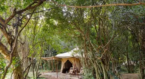 Sentinel Mara Camp - Image 5