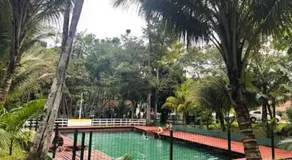 Apartamento amazônico COP30 - Image 4
