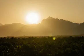 YingNong Wine Estate - Image 4