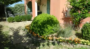 L'Oliveraie - Image 4