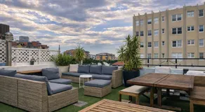 Tequila Sunrise Potts Point - Image 3