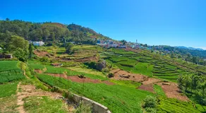 Central Homestay Ooty by VOYE HOMES Family-Friendly Budget Stay with Valley And Mountain Views - Image 5