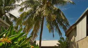 Dalai home - Image 5