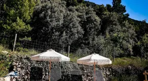 Mas de Pau - Boutique Apartments - Image 5
