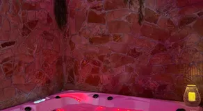 Wellness Spa Hotel Zeleni Raj - Image 3