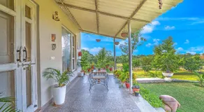 Aravale Farm Pet-friendly 4-BHK Farmhouse With Private Pool, 2-Acre Lush Garden & Aravali Views - Image 5