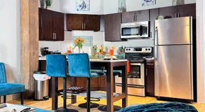 Luxéry Stay Chicago - Themed Units! Close to Downtown, McCormick Place & Wintrust Arena - Image 3