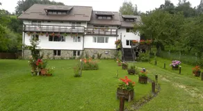 Pensiunea Cerbul Carpatin - Image 5