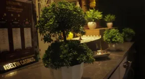 HOTEL DADO`S INN - Image 5