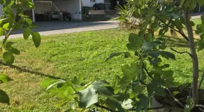 Dingqin'Home , 5425 Schneisingen - Image 5