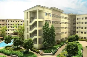 Twenty-Nine Cats - SMDC Cheer Residences Marilao - Image 4