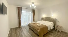 Alpin House Colibita - Image 2