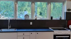 The parrot hotel, live in a rescue animal park - Image 3