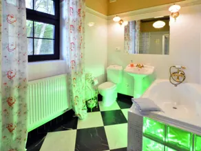 Comfortable holiday villa with fireplace, garden - Image 4