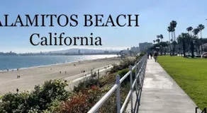 Long Beach 2BR and 1BA Charming Condo Near Alamitos Beach, Marina, Cafes & Shops - Image 4