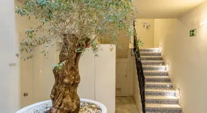 Kayser Premium Suites - Image 5
