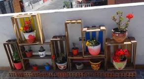 La Casa de Chamo - Image 5