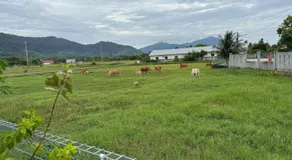 Cabin Roomstay with Pool in Langkawi - Image 5